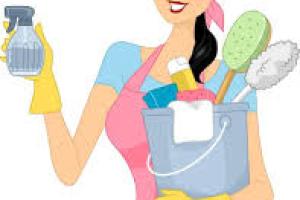 B�squedas de Trabajo Sin datos  ME OFREZCO COMO EMPLEADA